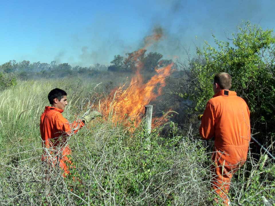 Incendio en la zona de La Marianita