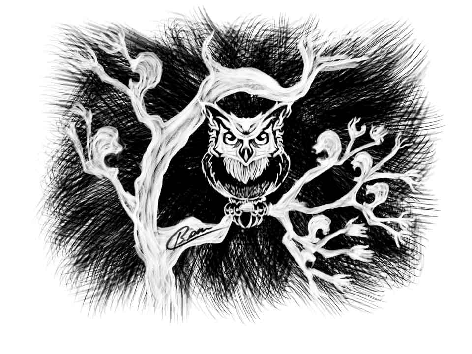 El grito de la lechuza (editorial)