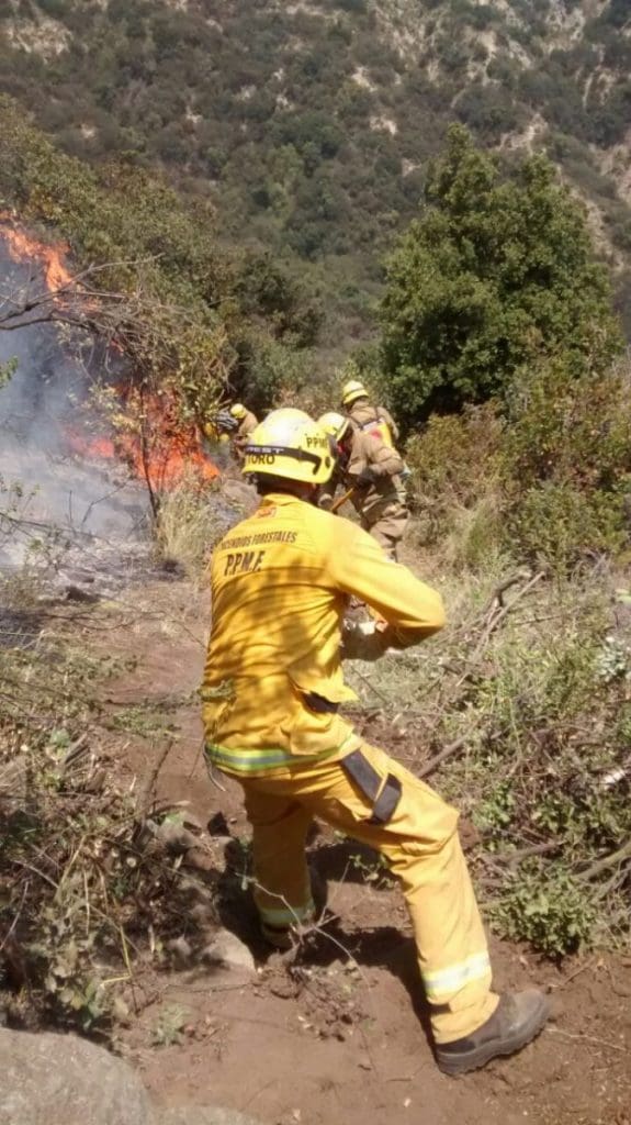 bomberos2 1 - Diario Resumen de la región