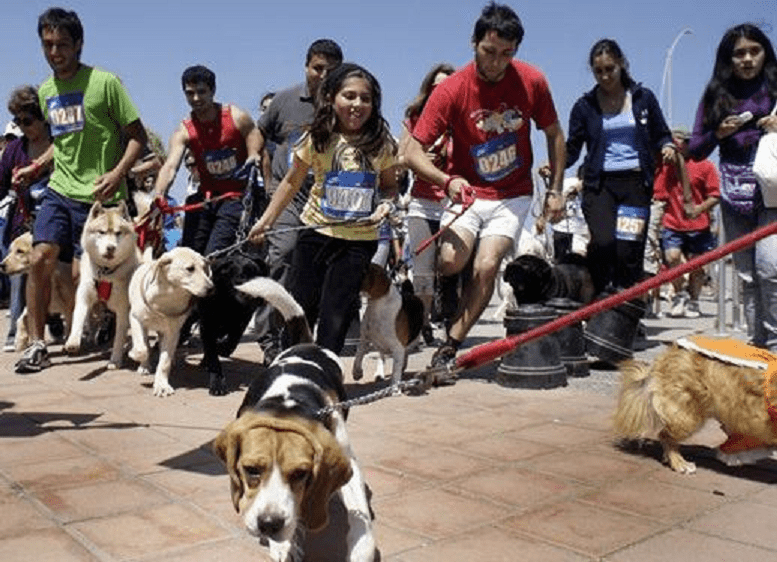 Maraton con mascotas Anisacate - Diario Resumen de la región