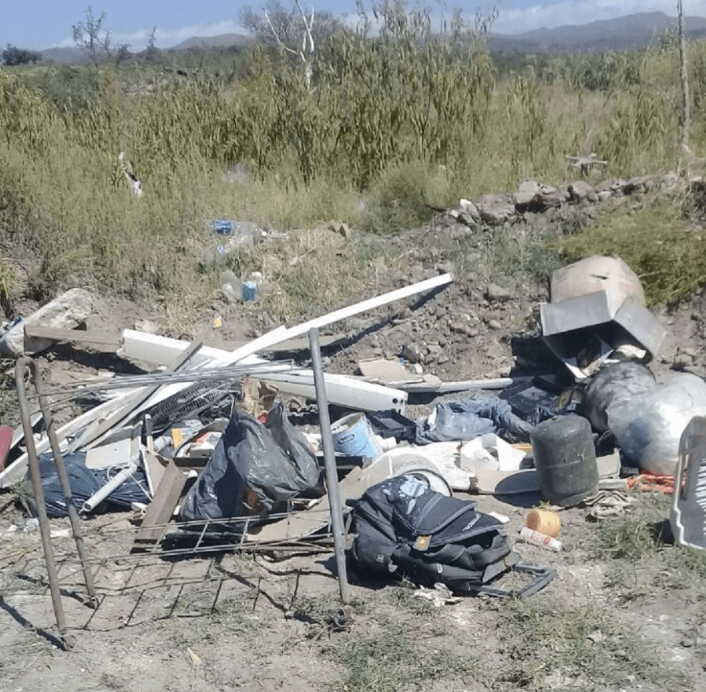 Basura D - Diario Resumen de la región