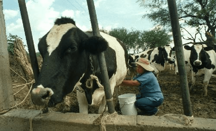 Productores - Diario Resumen de la región