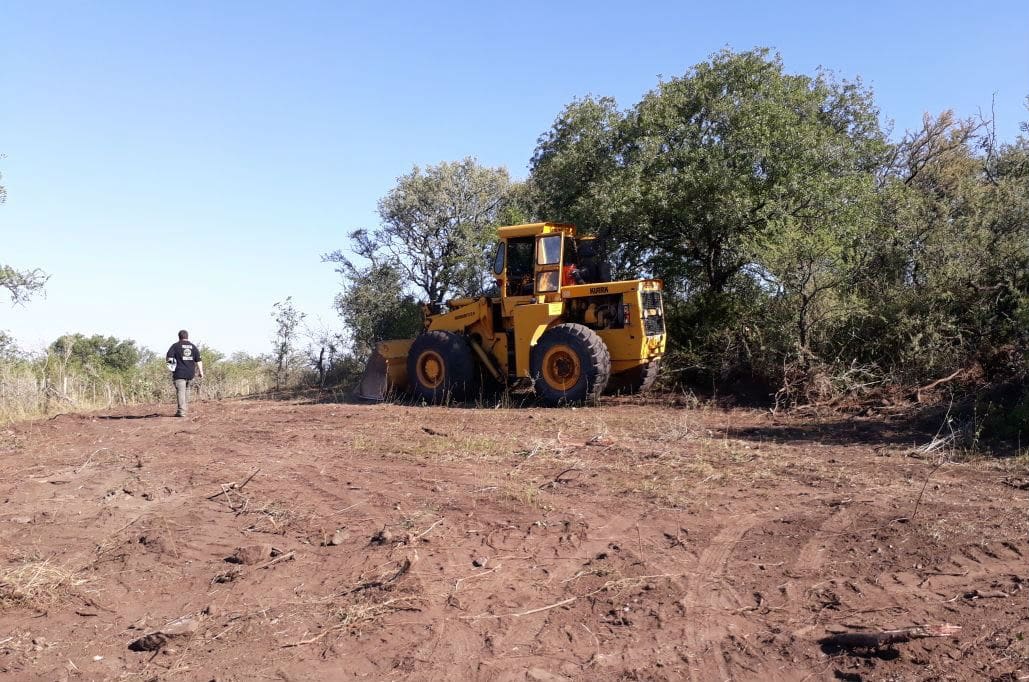 Ambiental 555 - Diario Resumen de la región