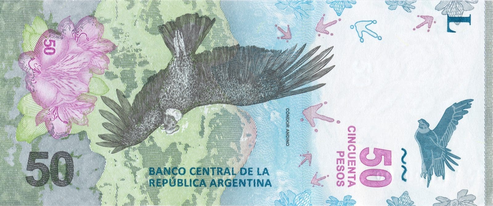 billete - Diario Resumen de la región