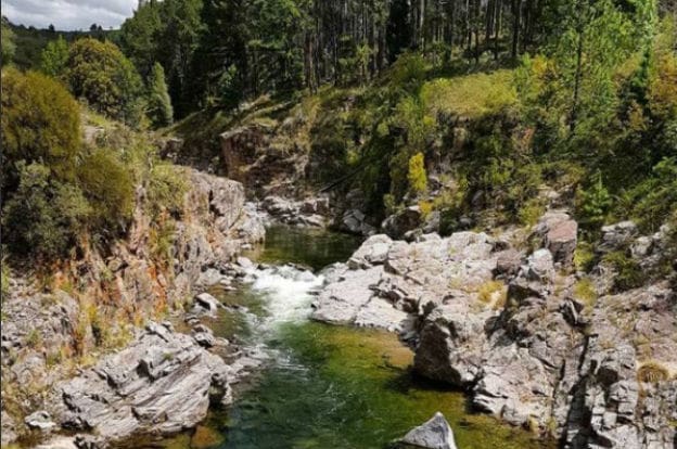 bosques de yacanto 739 principal 0 - Diario Resumen de la región