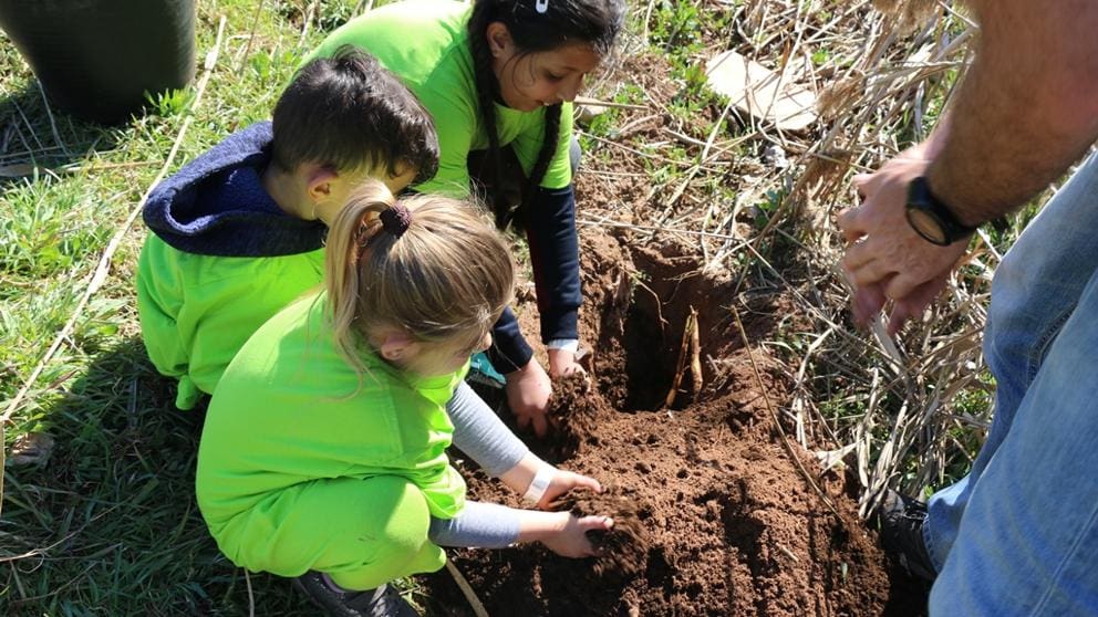 niños plantando árboles - Diario Resumen de la región