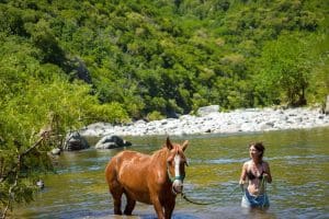 cabalgata - Diario Resumen de la región