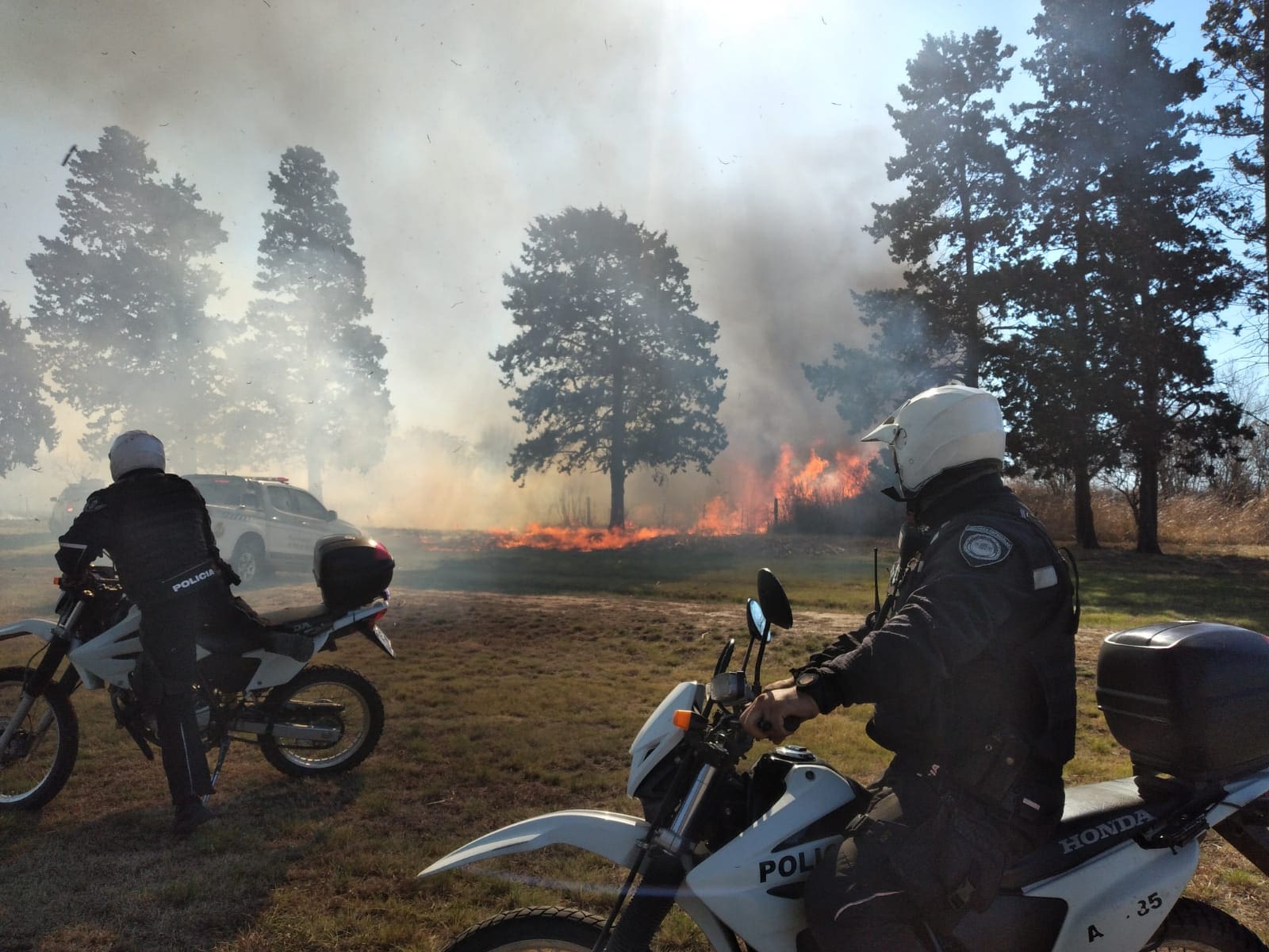 incendio enlace ruta 5 y c45 - Diario Resumen de la región