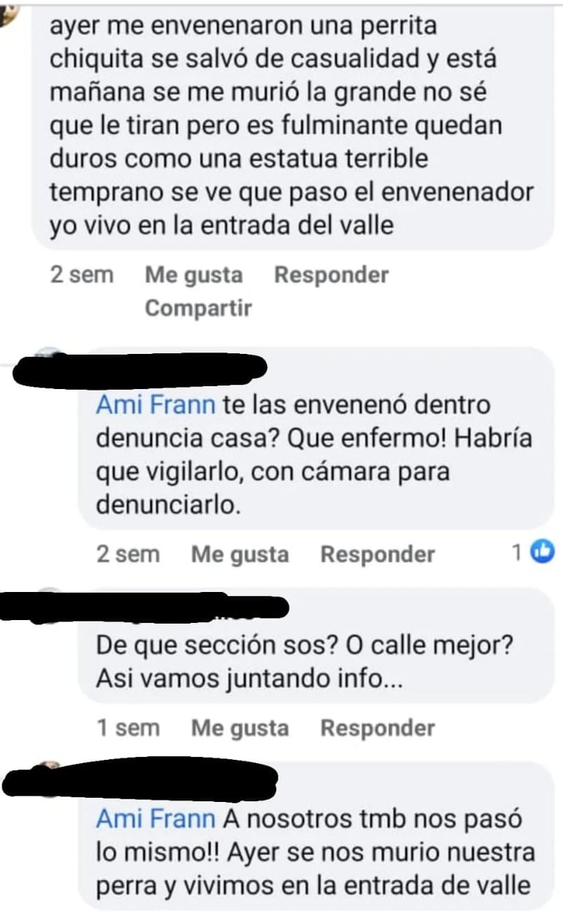 perros envenenados mensajes 2 - Diario Resumen de la región