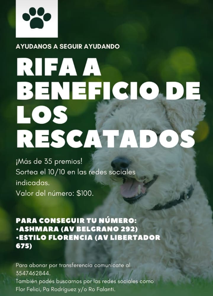 rifa rescataditos - Diario Resumen de la región