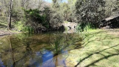 la rancherita reserva - Diario Resumen de la región